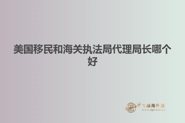 美国移民和海关执法局代理局长哪个好