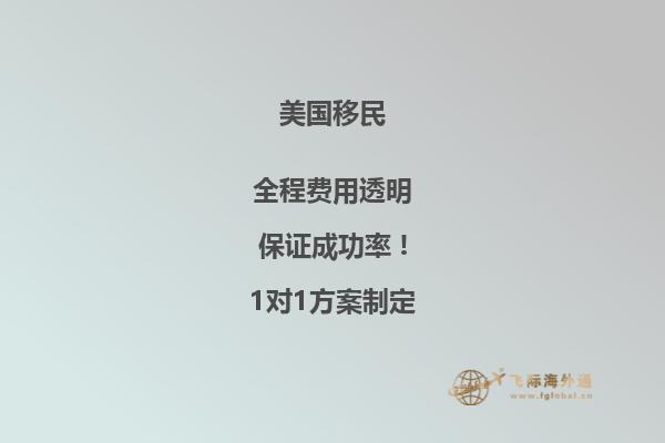 美国移民和海关执法局代理局长哪个好