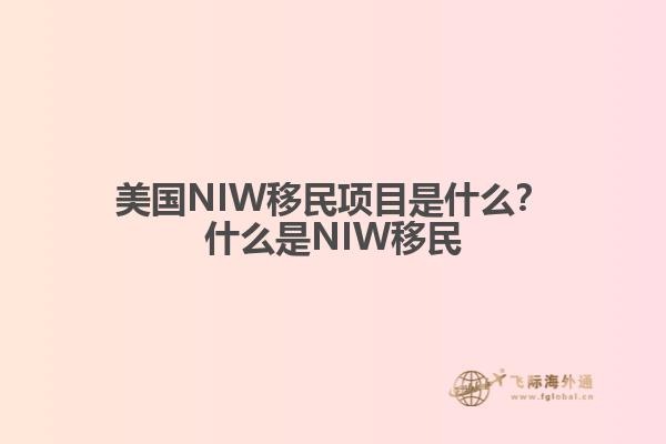 美国NIW移民项目是什么？什么是NIW移民
