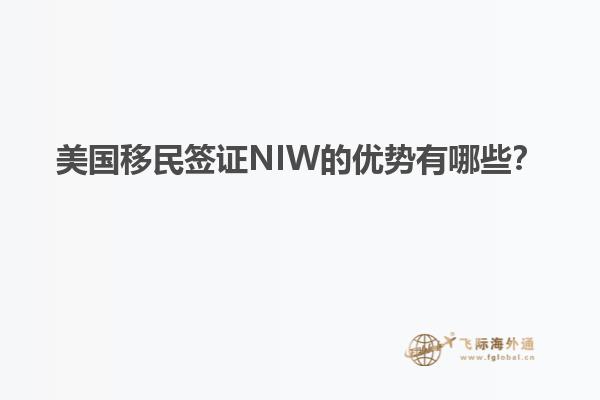 美国移民签证NIW的优势有哪些？