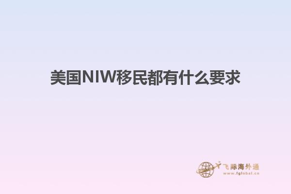 美国NIW移民都有什么要求