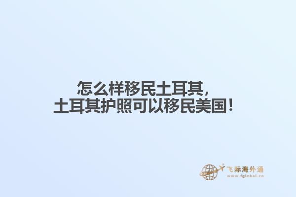 怎么样移民土耳其，土耳其护照可以移民美国！