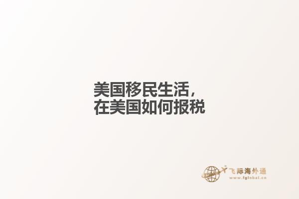 美国移民生活，在美国如何报税