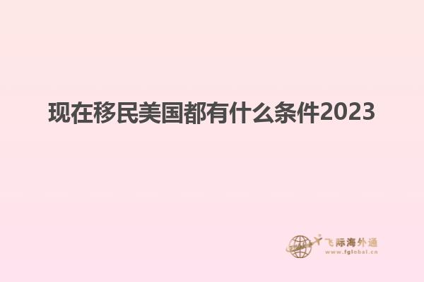 现在移民美国都有什么条件2023