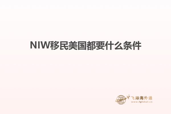 NIW移民美国都要什么条件