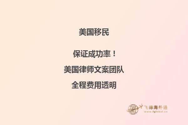 美国移民都有什么项目啊