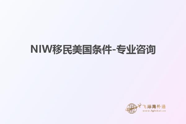 NIW移民美国条件-专业咨询