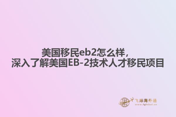 美国移民eb2怎么样，深入了解美国EB-2技术人才移民项目