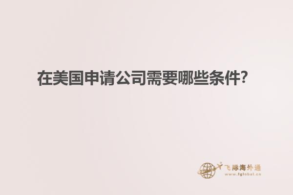 在美国申请公司需要哪些条件？