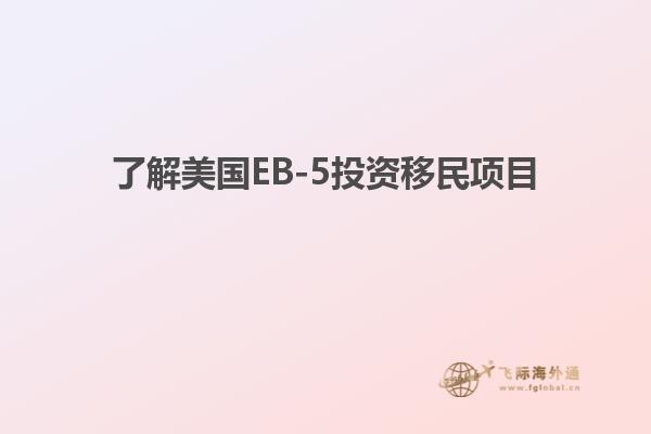 了解美国EB-5投资移民项目