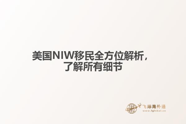 美国NIW移民全方位解析，了解所有细节