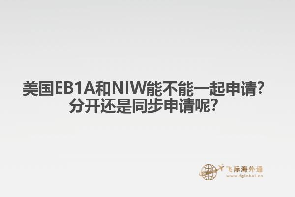 美国EB1A和NIW能不能一起申请？分开还是同步申请呢？