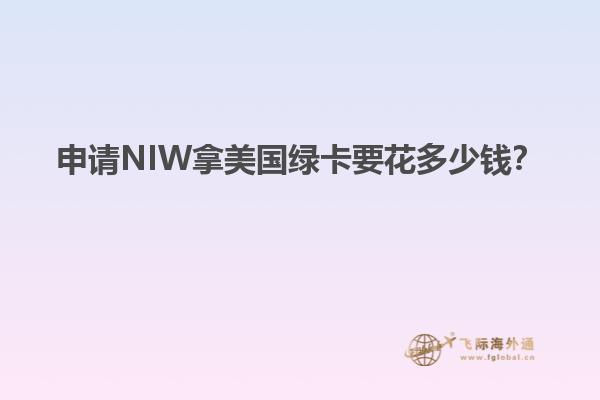 申请NIW拿美国绿卡要花多少钱？