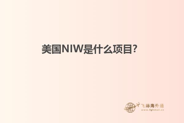 美国NIW是什么项目？