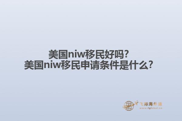 美国niw移民好吗？美国niw移民申请条件是什么？