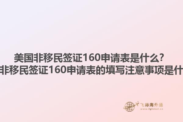 美国非移民签证160申请表是什么？美国非移民签证160申请表的填写注意事项是什么？1.jpg