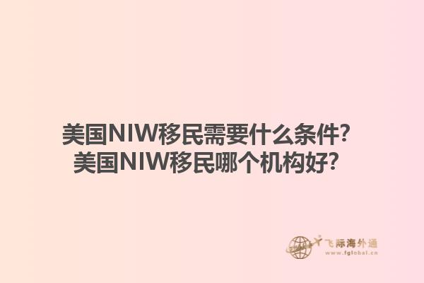 美国NIW移民需要什么条件？美国NIW移民哪个机构好？1.jpg