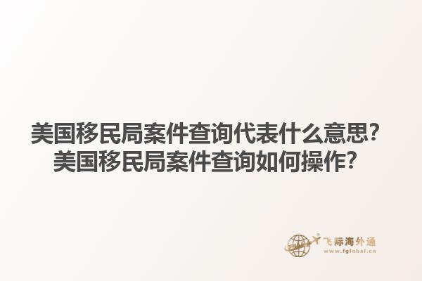 美国移民局案件查询代表什么意思？美国移民局案件查询如何操作？1.jpg