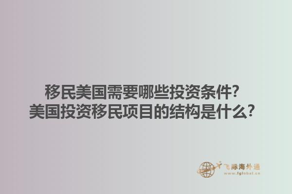 移民美国需要哪些投资条件？美国投资移民项目的结构是什么？1.jpg