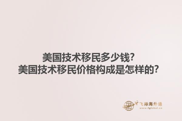 美国技术移民多少钱？美国技术移民价格构成是怎样的？1.jpg