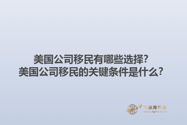 美国公司移民有哪些选择？美国公司移民的关键条件是什么？1.jpg