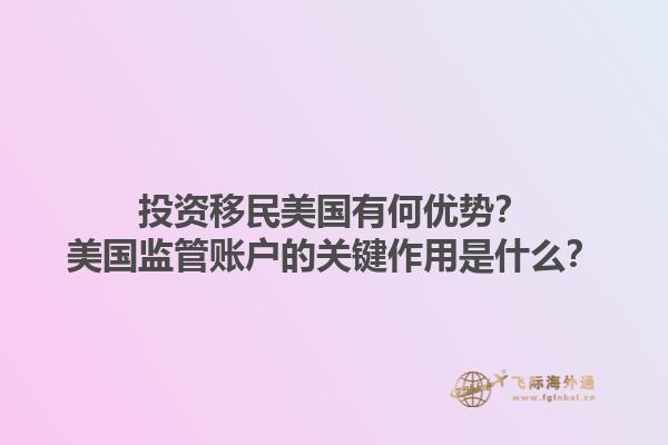 投资移民美国有何优势？美国监管账户的关键作用是什么？