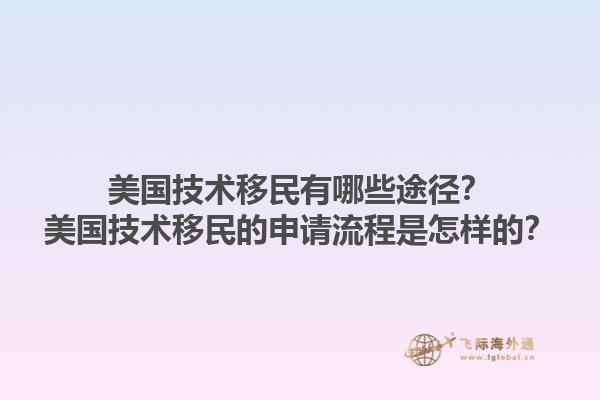 美国技术移民有哪些途径？美国技术移民的申请流程是怎样的？1.jpg