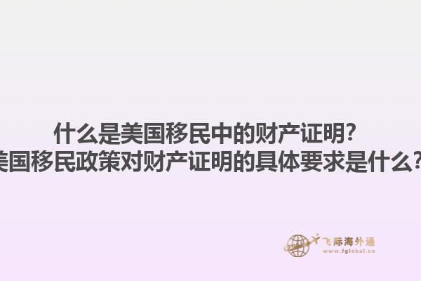 什么是美国移民中的财产证明？美国移民政策对财产证明的具体要求是什么？1.jpg