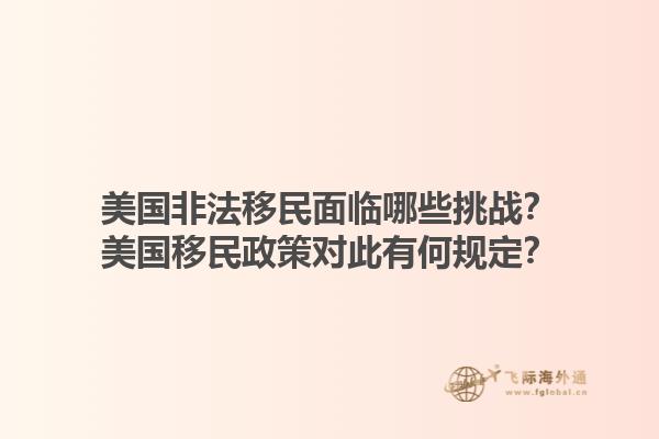 美国非法移民面临哪些挑战？美国移民政策对此有何规定？1.jpg