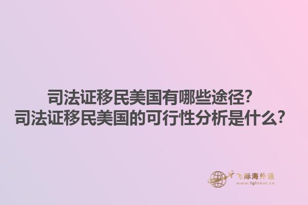 司法证移民美国有哪些途径？司法证移民美国的可行性分析是什么？1.jpg
