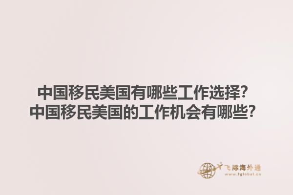 中国移民美国有哪些工作选择？中国移民美国的工作机会有哪些？1.jpg
