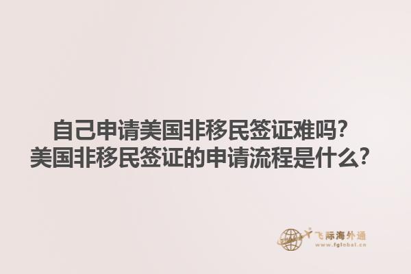 自己申请美国非移民签证难吗？美国非移民签证的申请流程是什么？1.jpg
