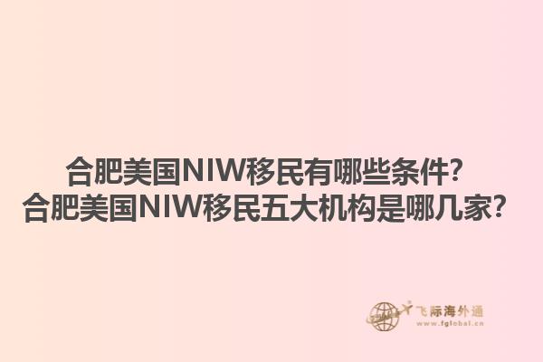 合肥美国NIW移民有哪些条件？合肥美国NIW移民五大机构是哪几家？1.jpg