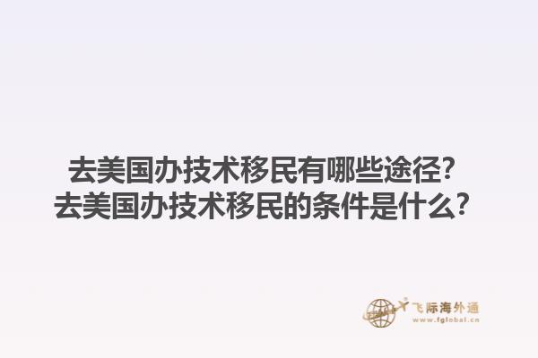 去美国办技术移民有哪些途径？去美国办技术移民的条件是什么？1.jpg