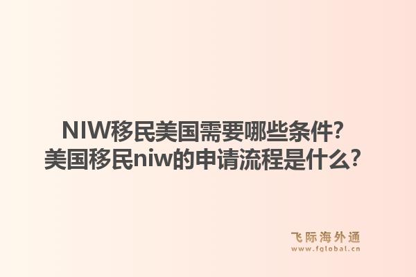 NIW移民美国需要哪些条件？美国移民niw的申请流程是什么？1.jpg