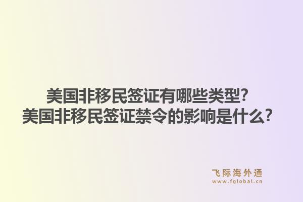 美国非移民签证有哪些类型？美国非移民签证禁令的影响是什么？1.jpg