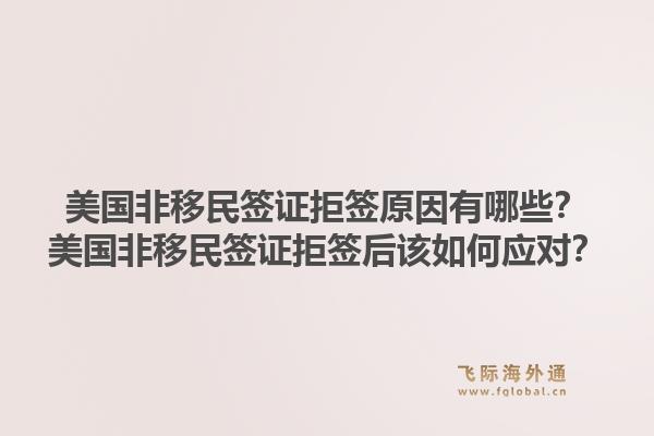 美国非移民签证拒签原因有哪些？美国非移民签证拒签后该如何应对？1.jpg