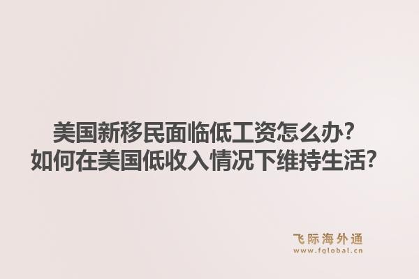 美国新移民面临低工资怎么办?如何在美国低收入情况下维持生活?1.jpg