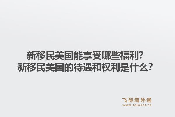 新移民美国能享受哪些福利？新移民美国的待遇和权利是什么？1.jpg