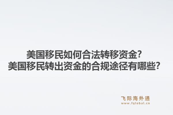 美国移民如何合法转移资金?美国移民转出资金的合规途径有哪些?1.jpg