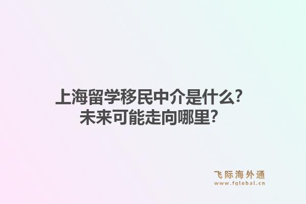 上海留学移民中介是什么？未来可能走向哪里？