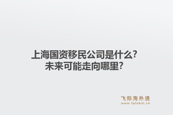 上海国资移民公司是什么？未来可能走向哪里？