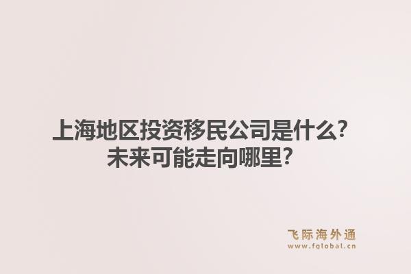 上海地区投资移民公司是什么？未来可能走向哪里？