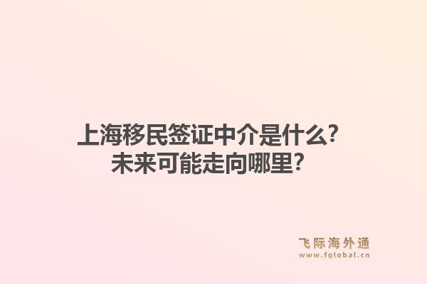 上海移民签证中介是什么？未来可能走向哪里？