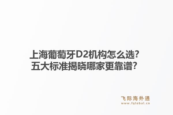 上海葡萄牙D2机构怎么选？五大标准揭晓哪家更靠谱？