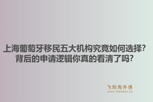 上海葡萄牙移民五大机构究竟如何选择？背后的申请逻辑你真的看清了吗？
