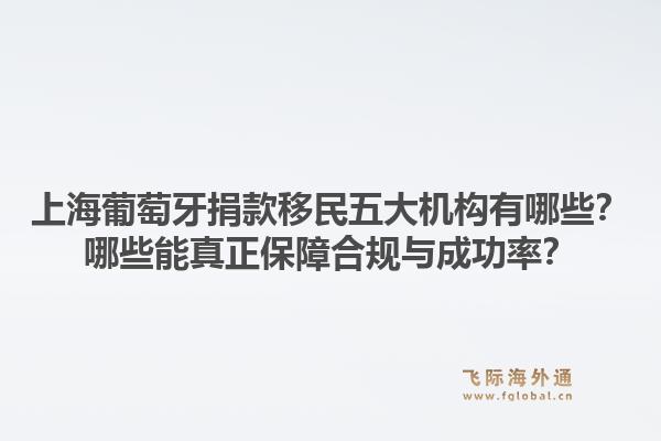 上海葡萄牙捐款移民五大机构有哪些？哪些能真正保障合规与成功率？