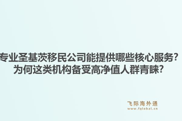 专业圣基茨移民公司能提供哪些核心服务？为何这类机构备受高净值人群青睐？