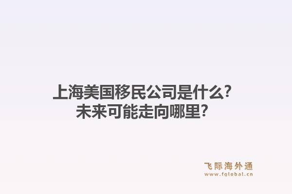 上海美国移民公司是什么？未来可能走向哪里？