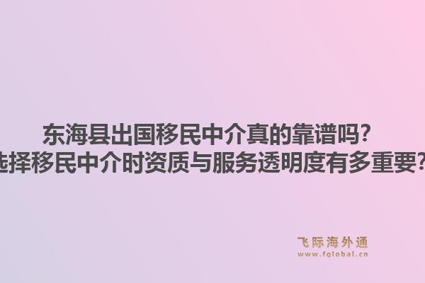 东海县出国移民中介真的靠谱吗？选择移民中介时资质与服务透明度有多重要？